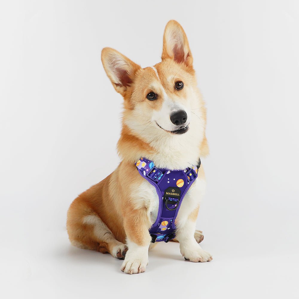 Dog Harness - MASBRILL