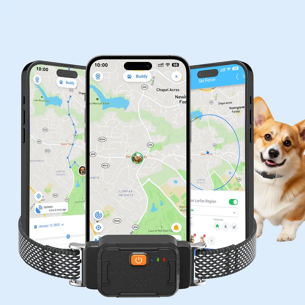 masbrill G761 GPS tracker for dogs