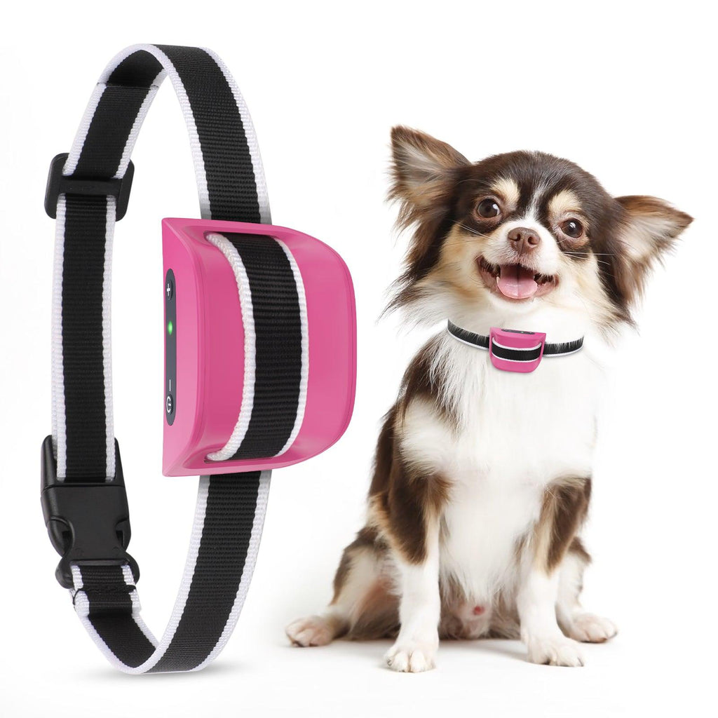 MASBRILL Multifunctional Small Dog Bark Collar-DC651 - MASBRILL