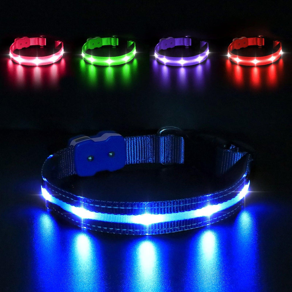 MASBRILL Led Glow Flashing Dog Collar - MASBRILL