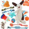 10 piece squeaky dog toy set featuring white puppy plush, star and rope toys