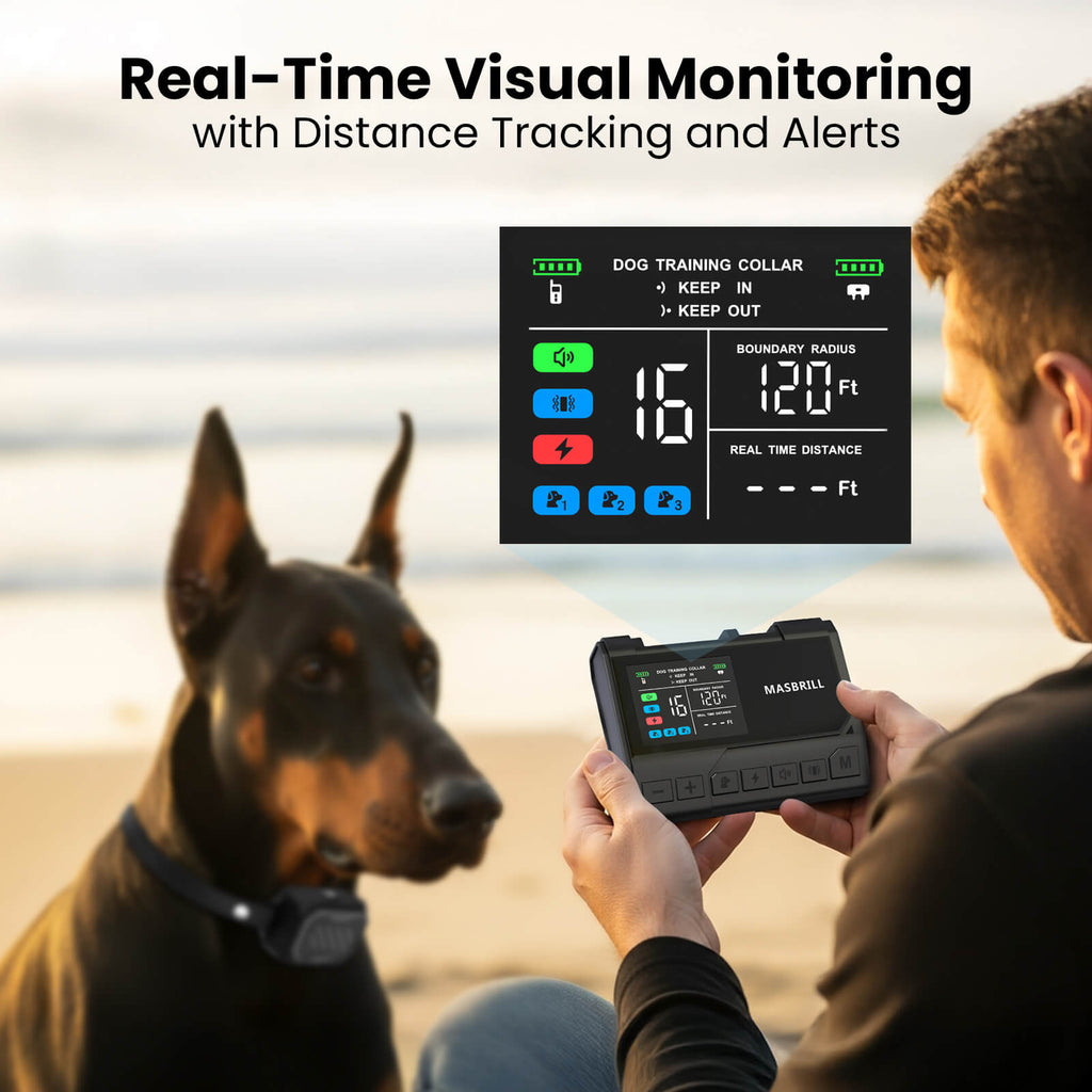 Real-Time Visual Monitoring with Distance Tracking and Alerts