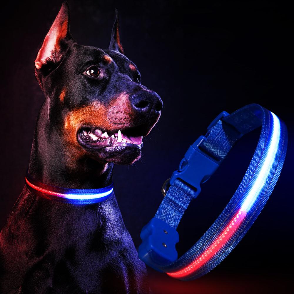 Masbrill New Patent Design Pretty Cool Warning LED Dog Collar - MASBRILL