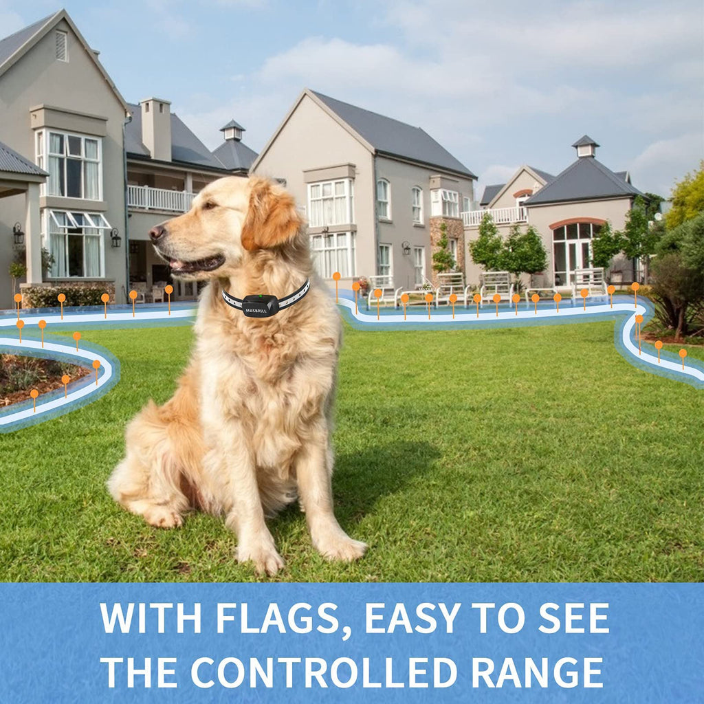 Dog sitting on grass with a controlled range setup in the background