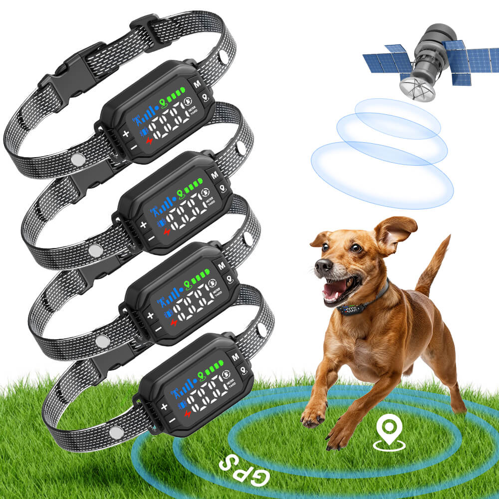 GPS Wireless Dog Fence
