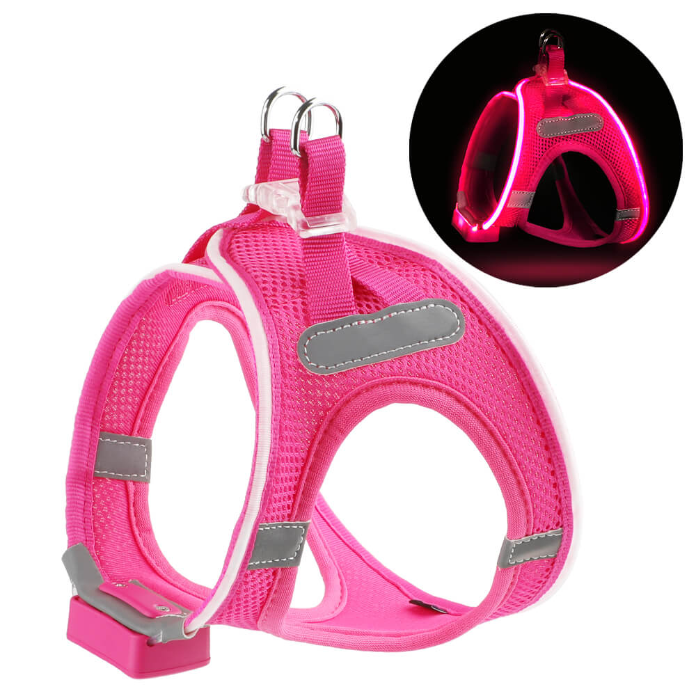 MASBRILL LED Dog Harness USB Rechargeablefor Small Dogs Adjustable Puppy Cat Harness