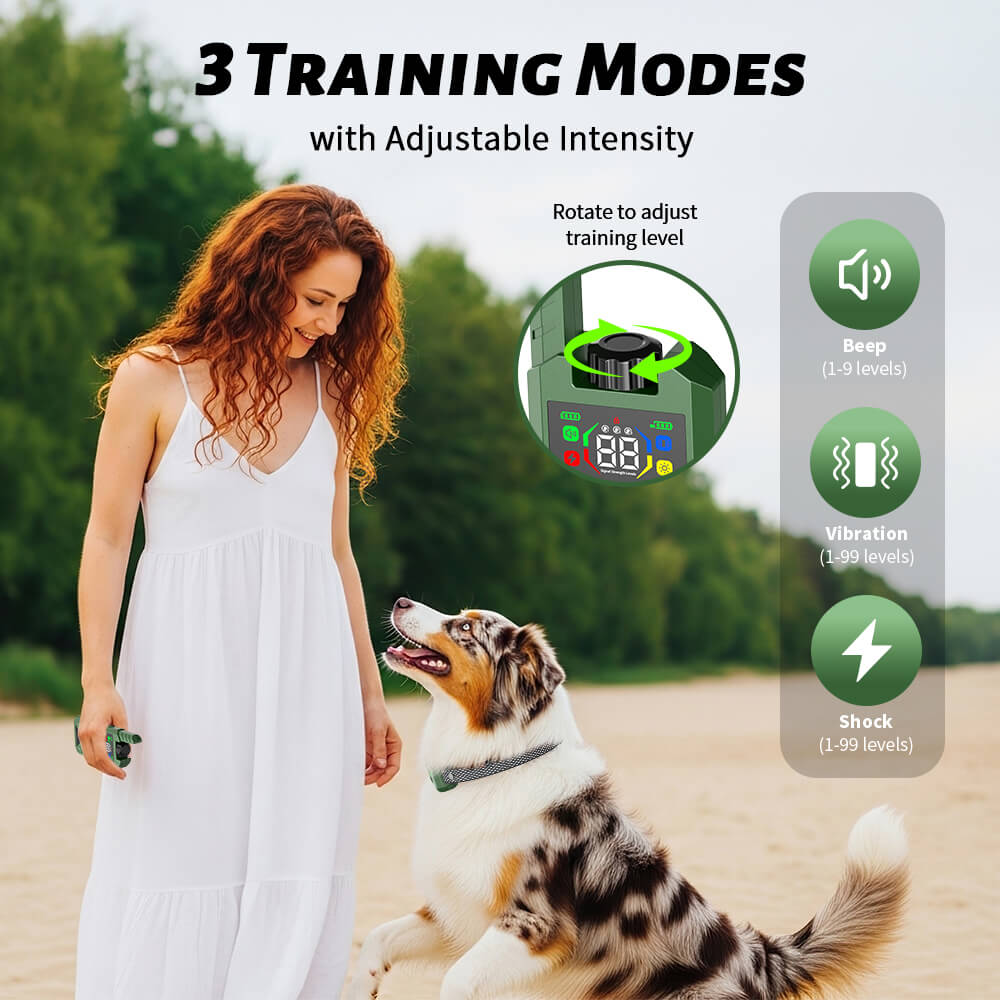 Four Training Modes: Beep, Vibration, Safe Shock, and LED Light