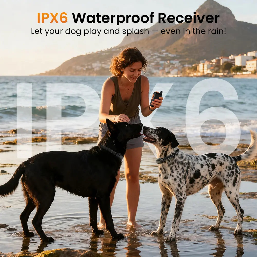 Waterproof design of the Masbrill 5-in-1 ultrasonic dog training collar.
