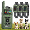 One remote controller with three dog training collar receivers for corgi, labrador, and border collie dogs