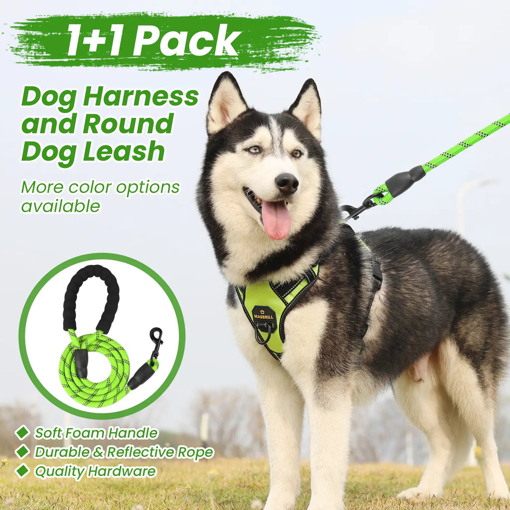 Masbrill reflective dog harness and leash set combination showing both harness and leash together