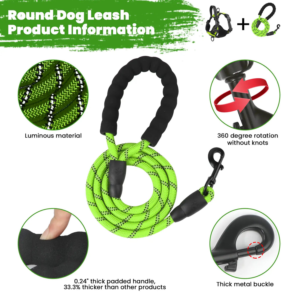 Close-up of the Masbrill dog leash showing durable handle and secure clasp detail