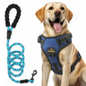 Masbrill dog harness and leash set, reflective no-pull vest harness with handle, adjustable for small to large dogs, blue color front view