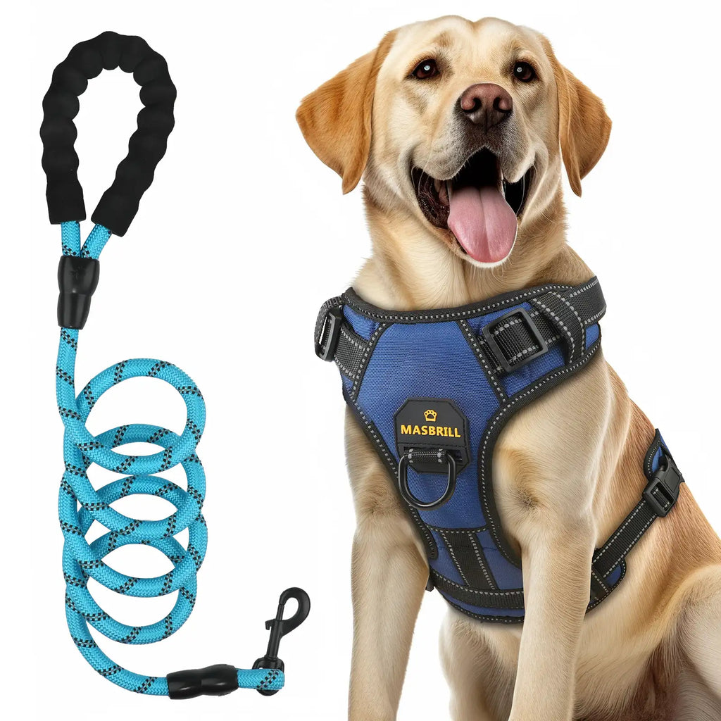 Masbrill dog harness and leash set, reflective no-pull vest harness with handle, adjustable for small to large dogs, blue color front view