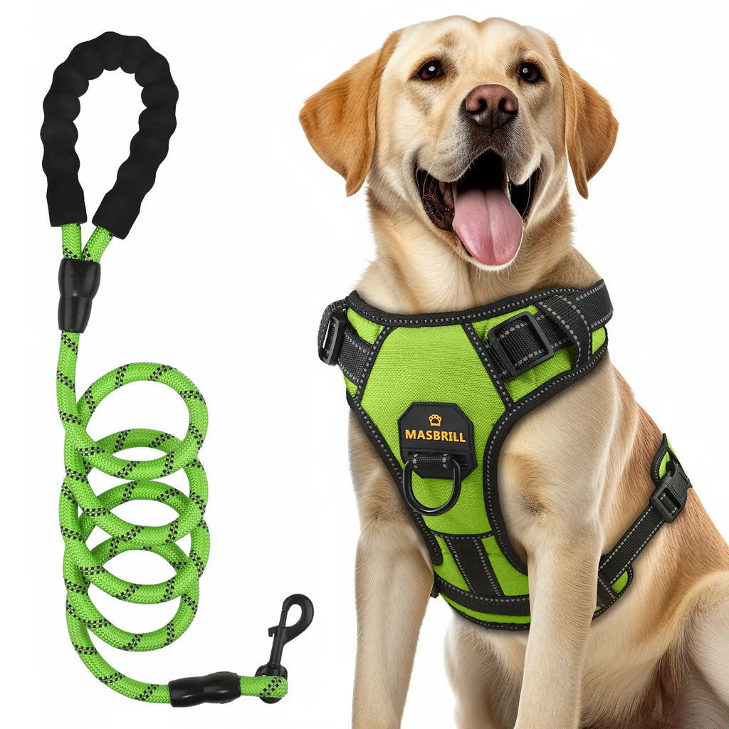 Masbrill dog harness and leash set, reflective no-pull vest harness with handle, adjustable for small to large dogs, green color front view