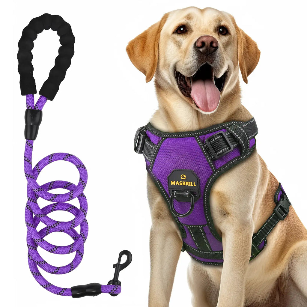Masbrill dog harness and leash set, reflective no-pull vest harness with handle, adjustable for small to large dogs, purple color front view