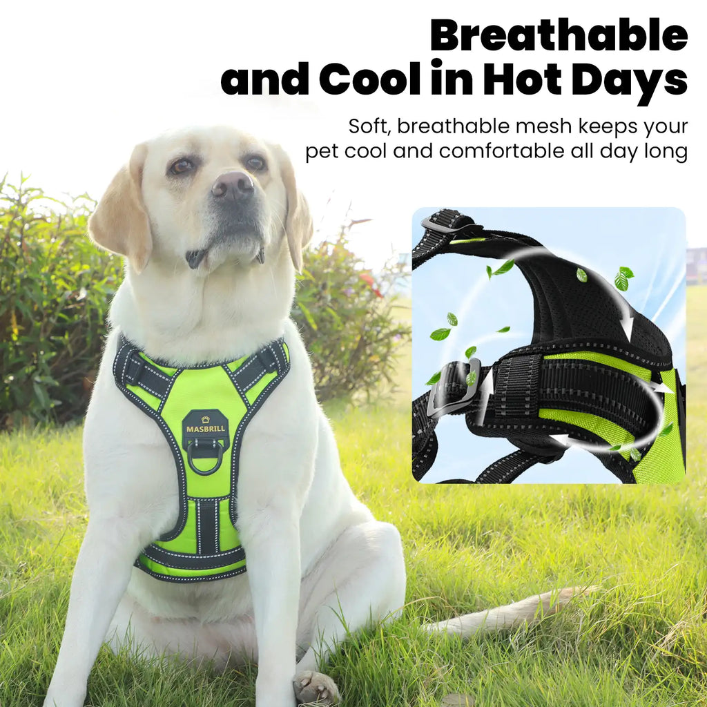 Masbrill dog harness soft padded inner lining with breathable mesh design for comfort and airflow