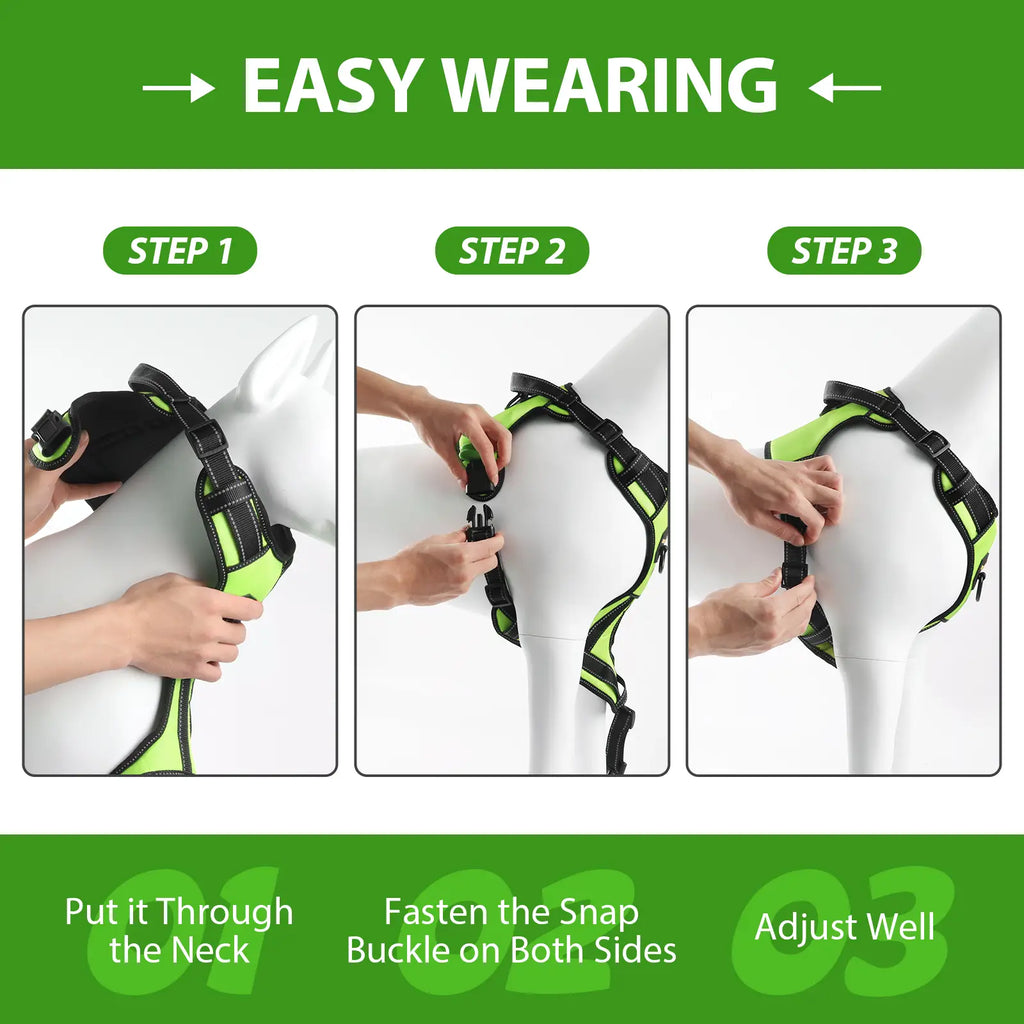 Step-by-step guide image showing how to put on the Masbrill dog harness and leash set correctly