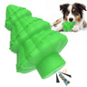 Green Christmas tree squeaky chew toy with border collie dog playing