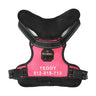 MASBRILL Custom Dog Harness with name - MASBRILL