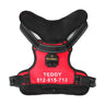 MASBRILL Custom Dog Harness with name - MASBRILL