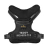 MASBRILL Custom Dog Harness with name - MASBRILL