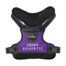 MASBRILL Custom Dog Harness with name - MASBRILL