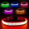 MASBRILL Custom LED dog collar with name - MASBRILL