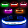 MASBRILL Custom LED dog collar with name - MASBRILL