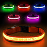 MASBRILL Custom LED dog collar with name - MASBRILL