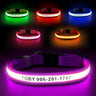 MASBRILL Custom LED dog collar with name - MASBRILL
