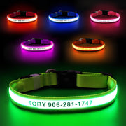 MASBRILL Custom LED dog collar with name - MASBRILL