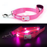 MASBRILL LED Dog Leash USB Rechargeable Pet Leash - MASBRILL