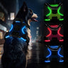 MASBRILL Light Up Dog Harness - MASBRILL