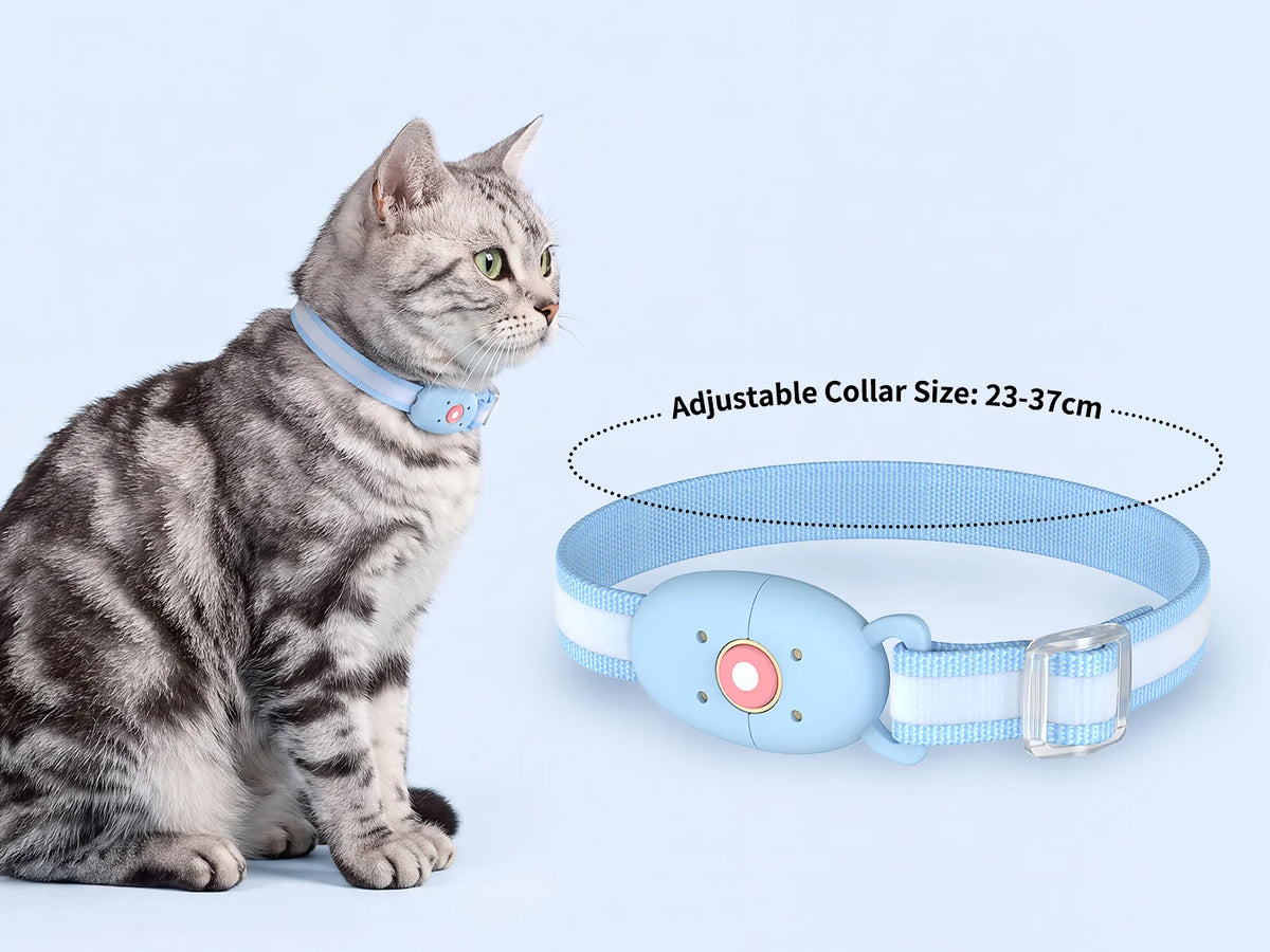 On the collar