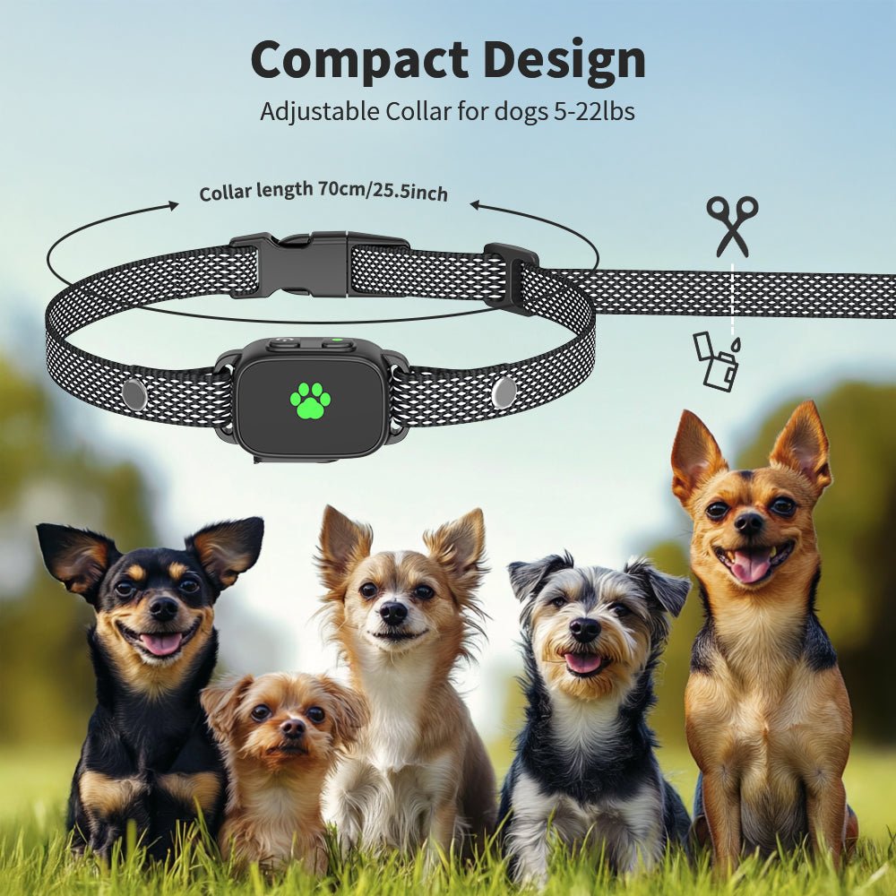 MASBRILL No Shock Small Dogs Training Collar With Remote – 2500FT RANGE - 927 - MASBRILL