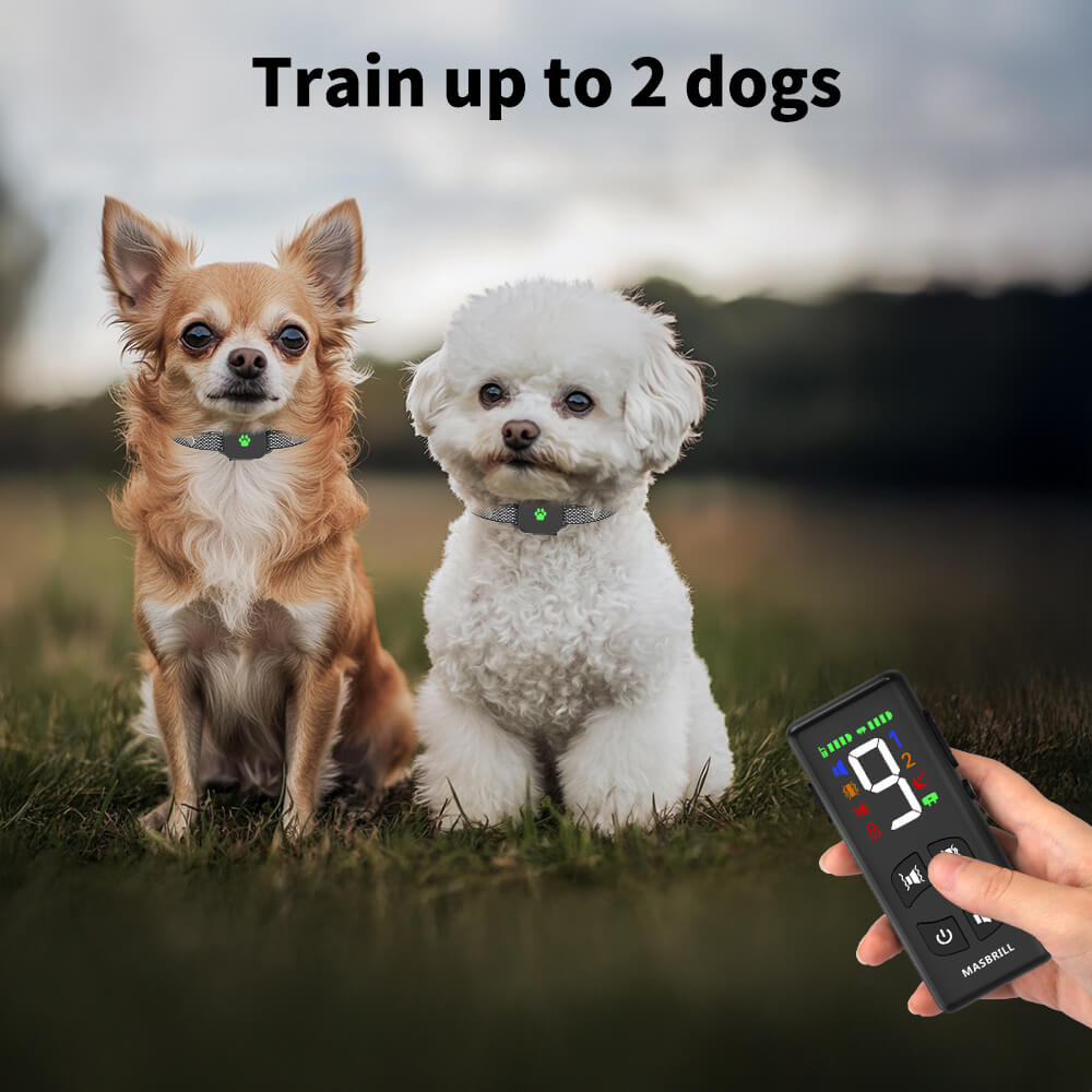 Masbrill No-Shock Small Dog Training Collar for 2 Dogs | IPX7 Waterproof Remote Training System | Vibration Training Collar Masbrill No-Shock Small Dog Training Collar for 2 Dogs | IPX7 Waterproof Remote Training System | Vibration Training Collar