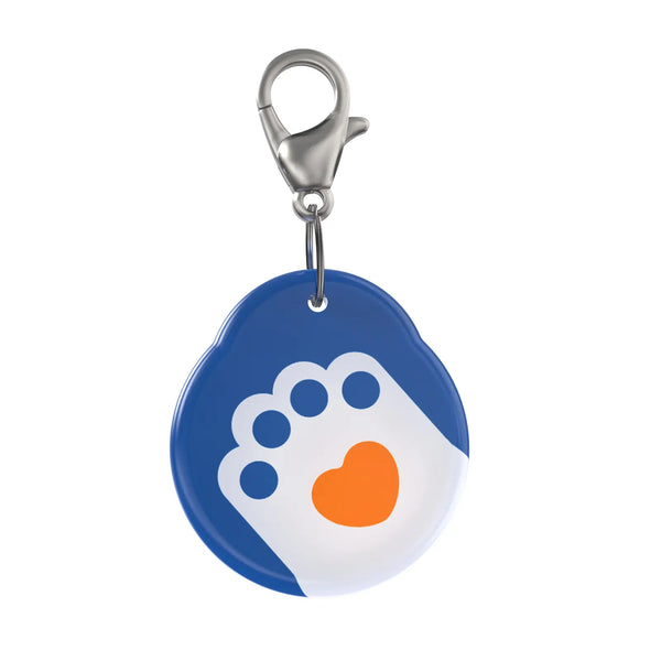 Blue Paw