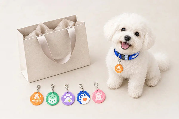 Gift bag with a white poodle and five colorful Masbrill QR pet tags