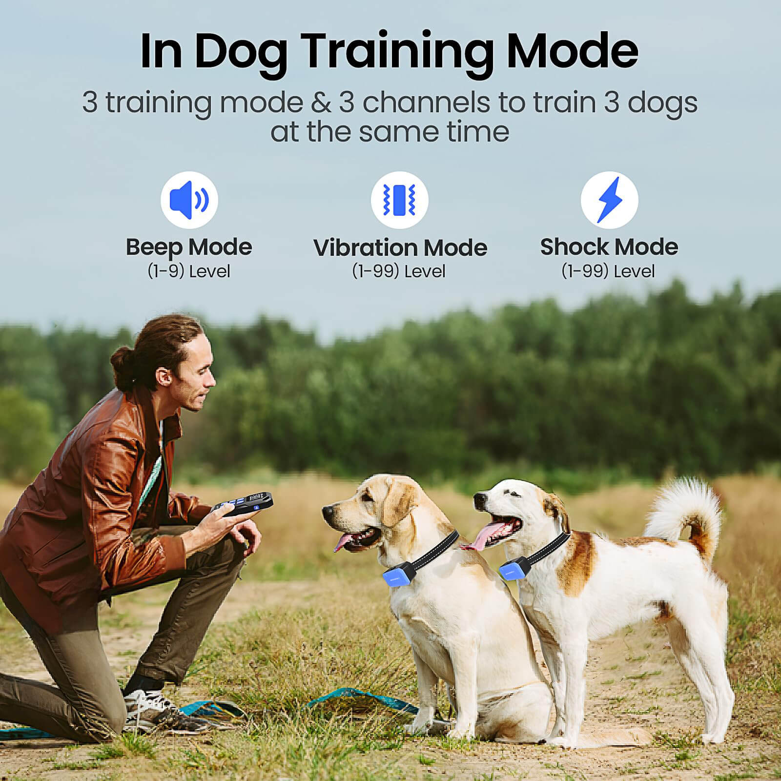 Valla inalámbrica para perros MASBRILL 2 en 1, cerca eléctrica y  dispositivo de entrenamiento, image size:1600x1600