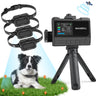 MASBRILL Wireless Dog Fence 3-Dog Set – Includes 1 Transmitter and 3 Waterproof Receiver Collars