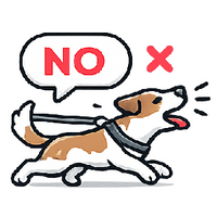 "No" Doesn't Land