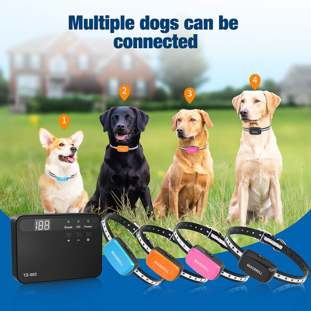 supporting unlimited dogs – standard kit includes 4 collars, with ability to add more