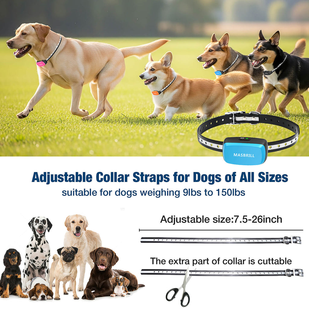 adjustable strap for dogs 10–110 lbs (neck size 8–26 in) 