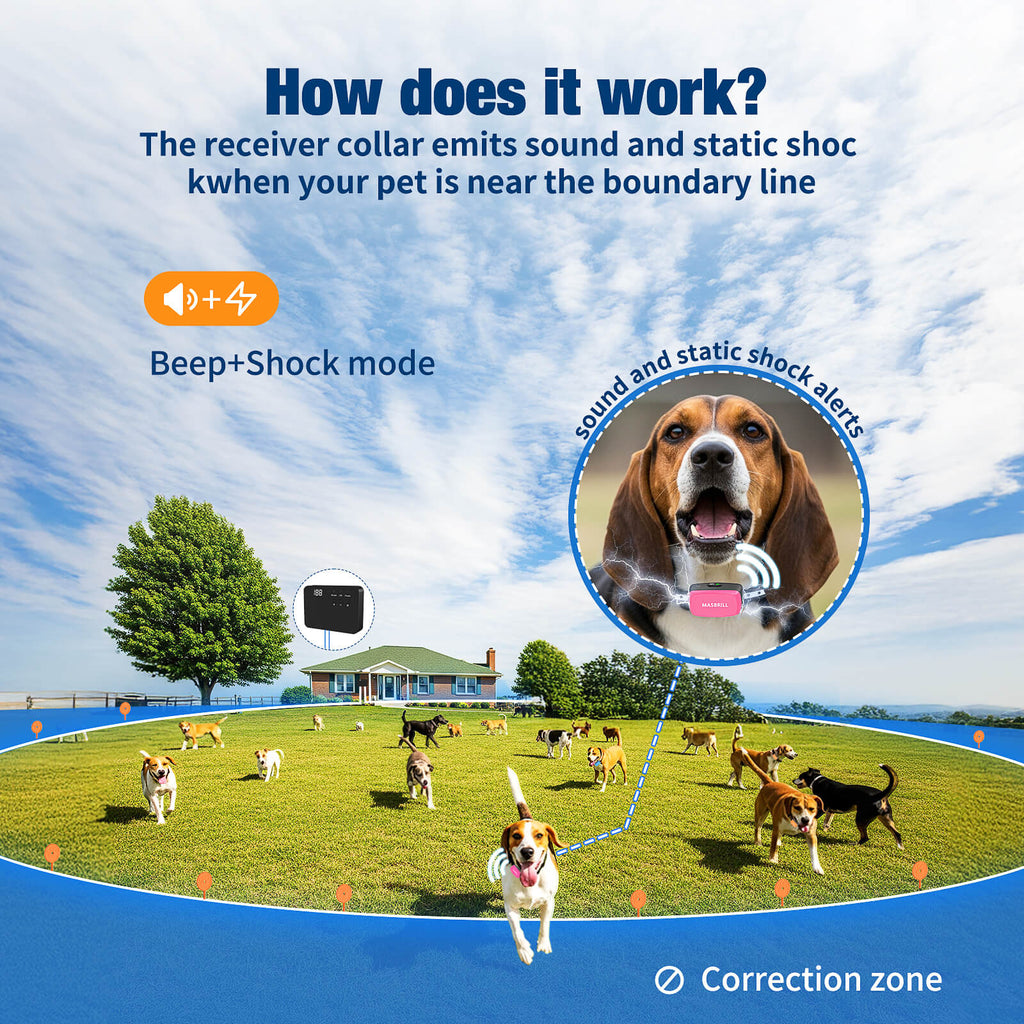 The receiver collar emits sound and static shockwhen your pet is near the boundary line