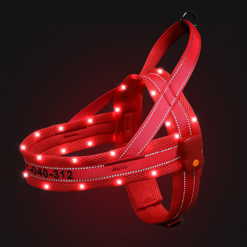 MASBRILL Custom Embroidered LED Lighted No Pull Dog Harnesses - MASBRILL